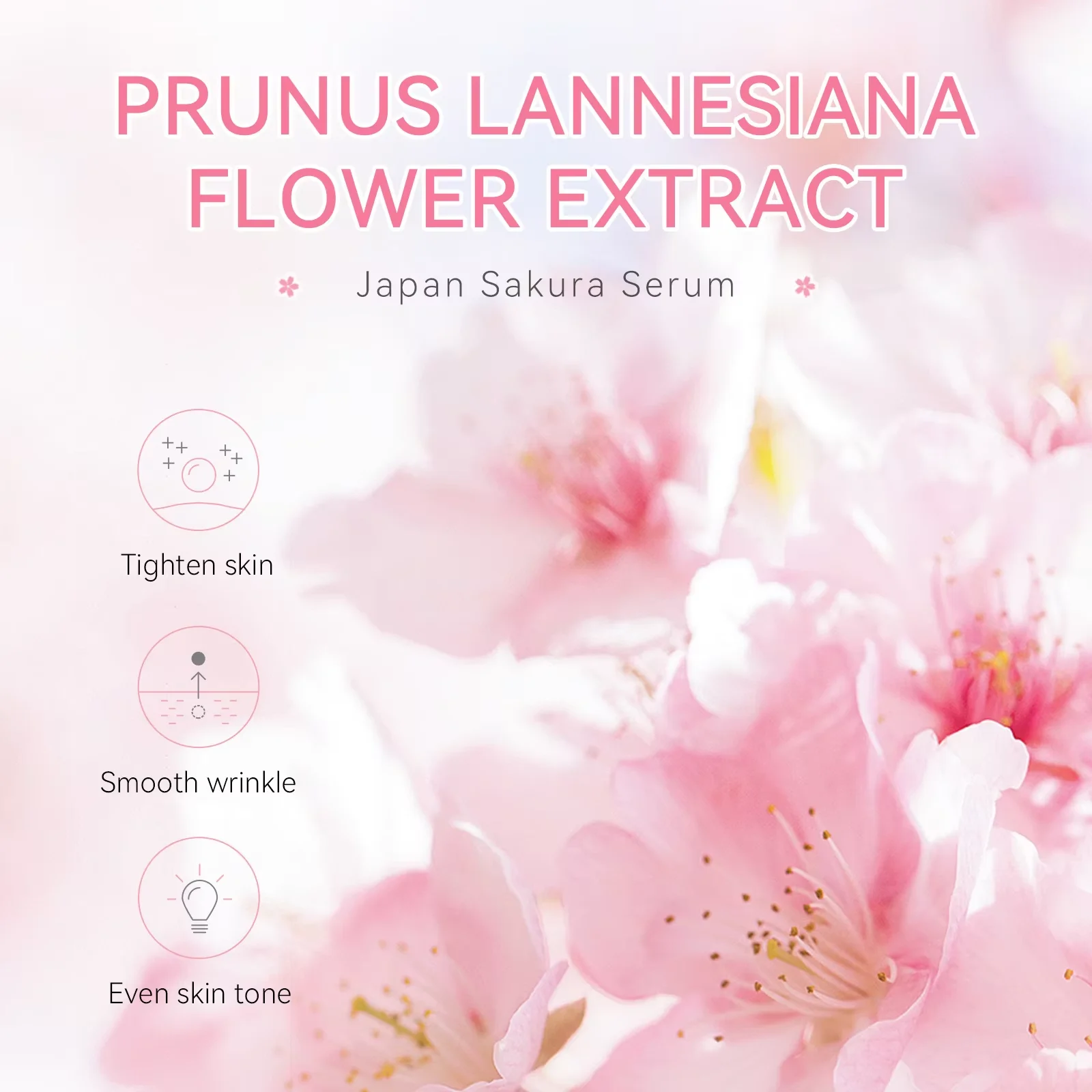 Sakura Whitening Face Serum An - огляд і ціна Skincare Oily Skin